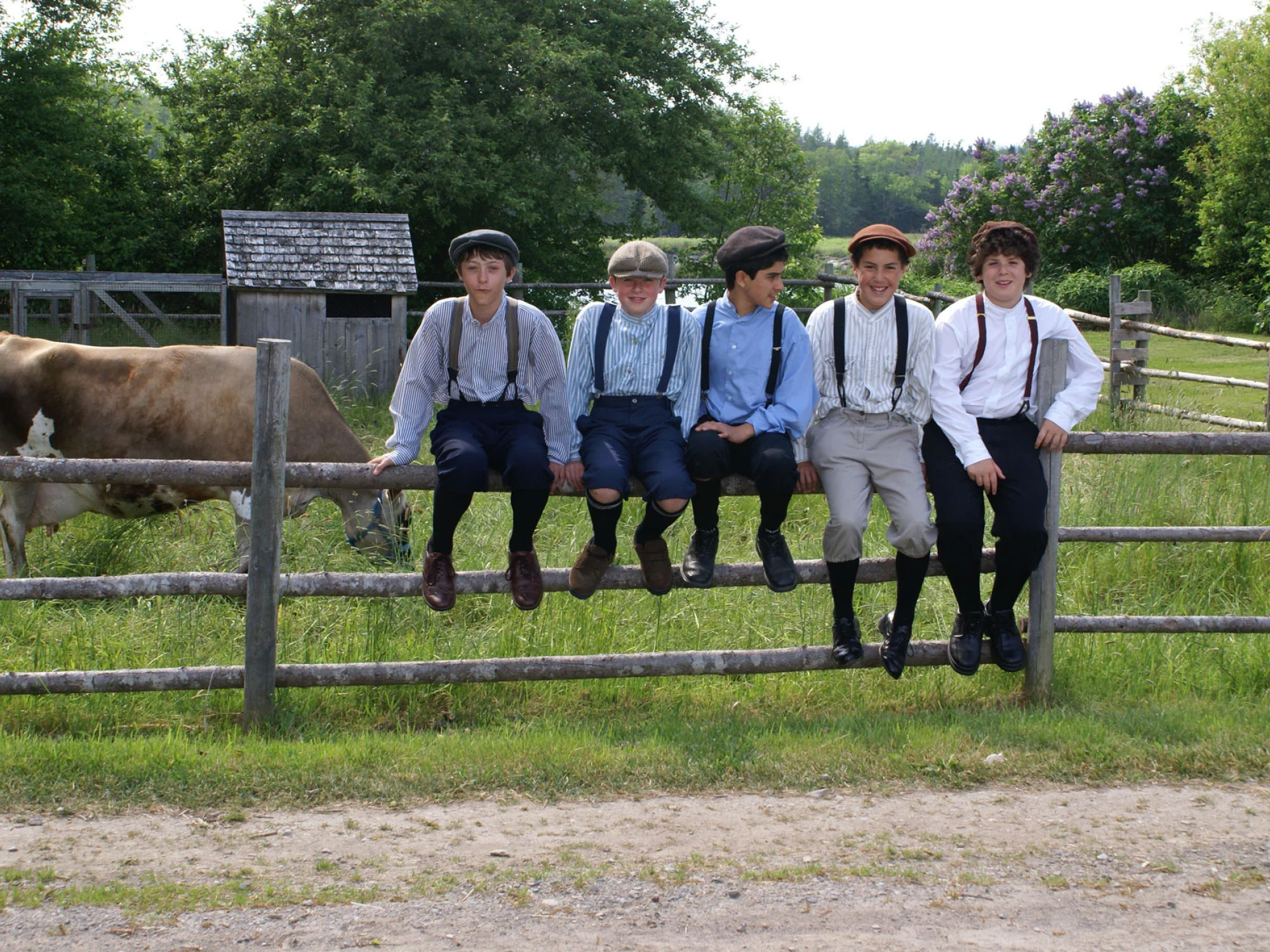 Five boys in period costumes sitting on a fence, a cow in the background.