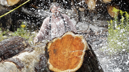 Logs splashing at the Sherbrooke Village Mill